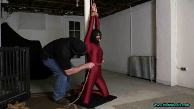 Sarah Brooke...Hooded and Tormented in the Basement Dungeon!