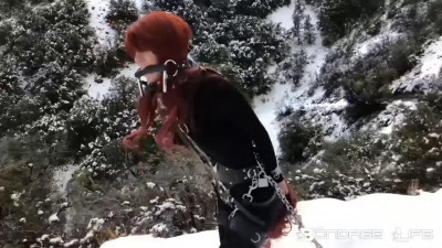 Rachel Greyhound Dashing Through The Snow